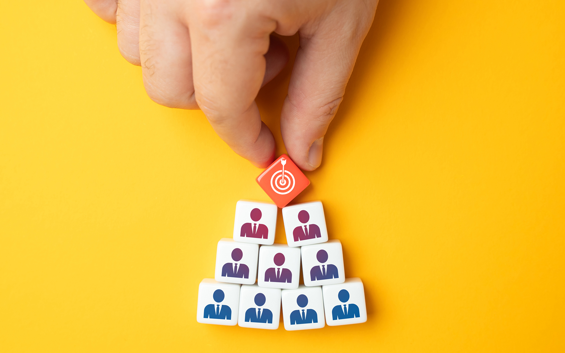 Segmentación Dinámica Pro